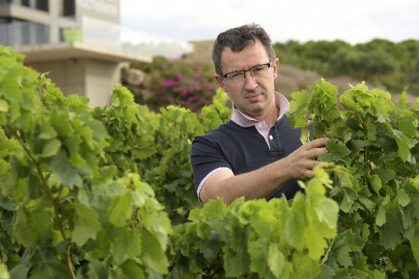 La dernière évolution de la certification HVE demandée par les vignerons