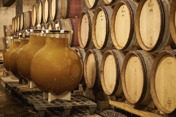  Ces vignerons sont séduits par les cuves en verre Wineglobe