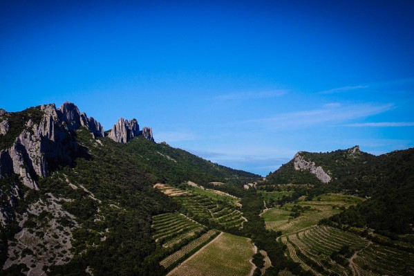 Stations météo et robots partagés pour les viticulteurs de Rhonéa et la CAPL