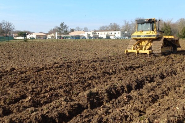 Bordeaux se prépare à planter son « vignoble de demain »