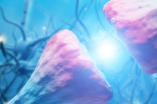 Cuivre, folpel et d’autres phytos accentueraient le risque de maladie de Parkinson