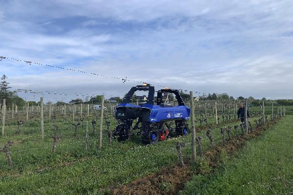 'J'ai perdu 5 kg en suivant le robot' dans les vignes