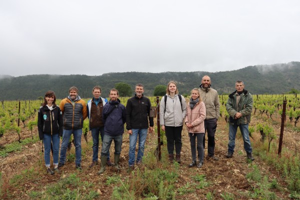 Oiseaux et chauve-souris doivent essaimer dans les vignes de la Clairette de Die