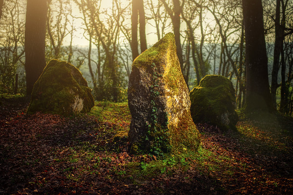 Le Conseil d’État relance la plus petite AOC des vins de Bordeaux