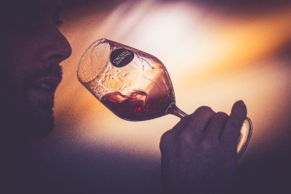 Crozes Hermitage chambre le service du vin