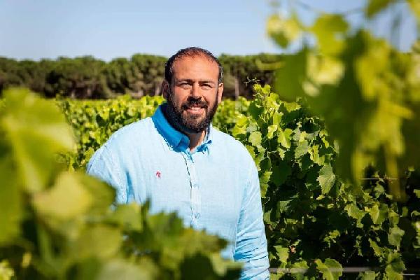  Métirame, DMM, glyphosate... ces matières actives que les vignerons ne veulent pas perdre