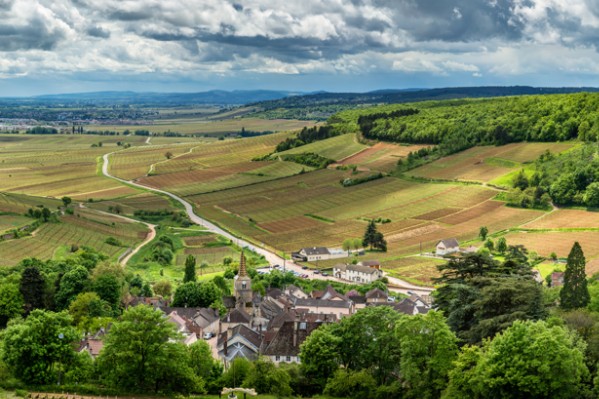 Nouvelle protection pour le vignoble de la Côte de Beaune
