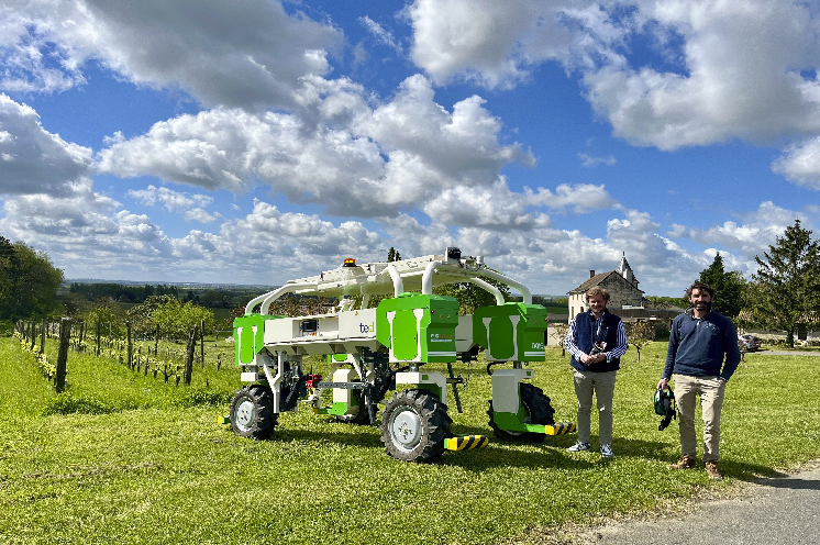 Dans les vignes du domaine Paon Perché, des personnes éloignées de l'emploi renouent avec un travail salarié