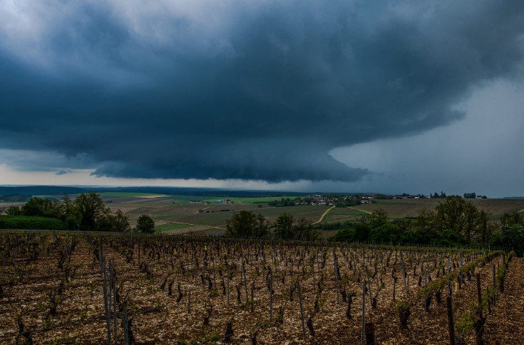 La grêle mitraille la moitié des vignes de Chablis