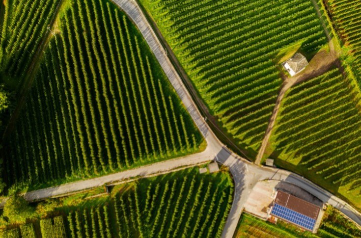 Drones et IA pour économiser engrais et phytos
