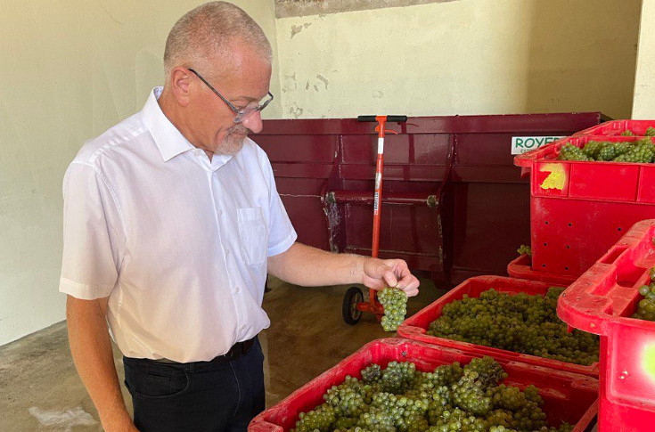 Enfin des avancées fiscales pour la transmission des vignobles ?