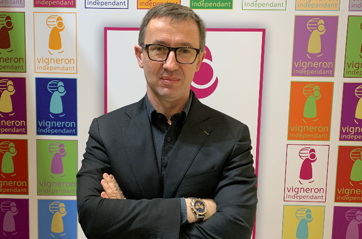 Appel vigneron au repêchage parlementaire du pacte Dutreil, TO-DE, vignes en friches, zone tampon et impôt de production