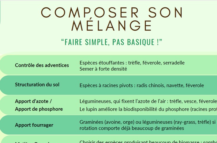 Un guide pour s’y retrouver dans les couverts végétaux du vignoble