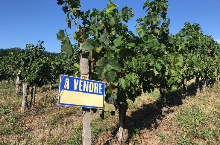 Le prix du foncier défoncé dans le vignoble