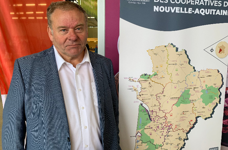 Le vignoble bordelais 