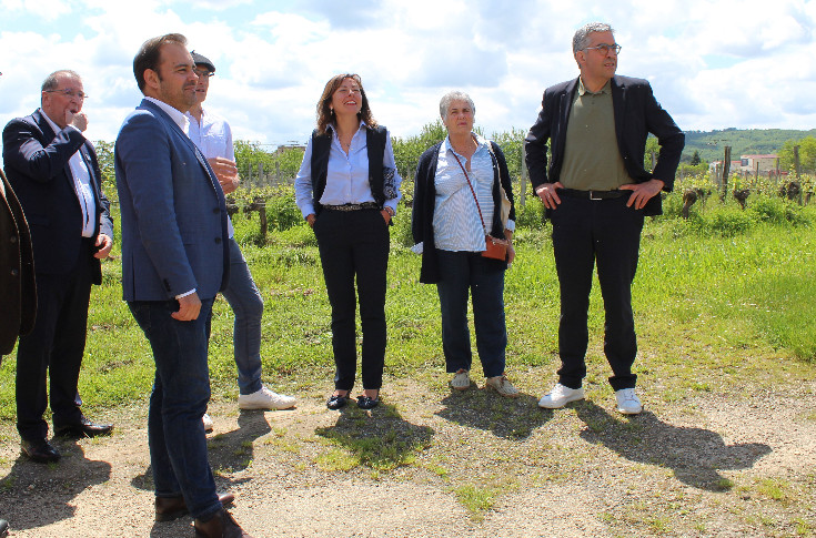 Aide régionale à la trésorerie des vignes gelées