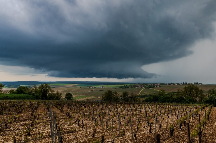 La grêle brise la bonne dynamique commerciale de Chablis