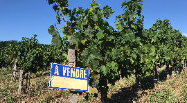 Le prix du foncier dfonc dans le vignoble