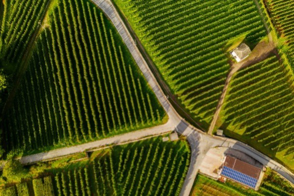 Drones et IA pour économiser engrais et phytos