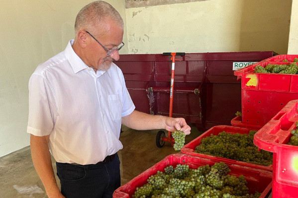 Enfin des avancées fiscales pour la transmission des vignobles ?