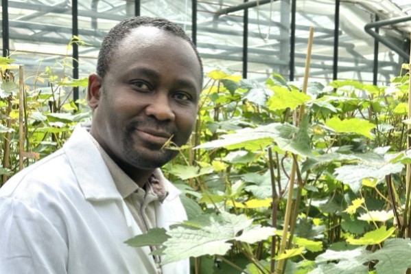 'Il faut susciter l’intérêt des viticulteurs pour les variétés résistantes'