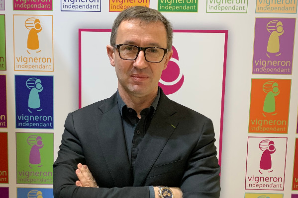 Appel vigneron au repêchage parlementaire du pacte Dutreil, TO-DE, vignes en friches, zone tampon et impôt de production