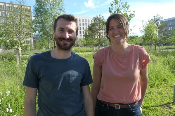 Un plan d’actions gamme par gamme de vin pour améliorer son bilan carbone