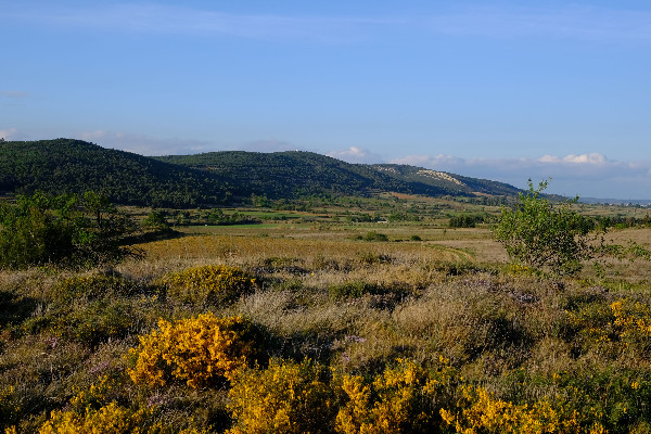 Les vins de La Livinière et Boutenac reconnus en appellations communales