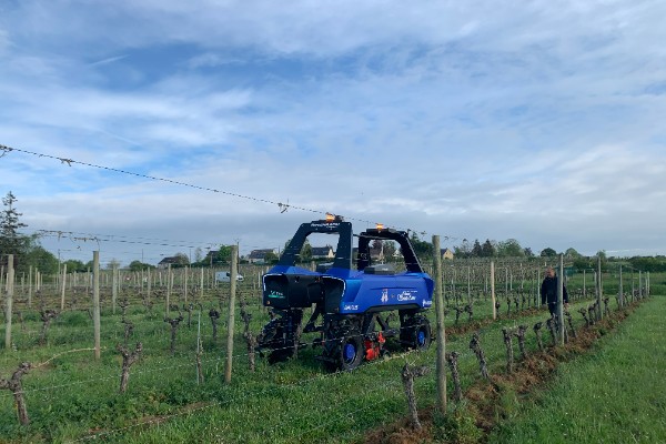 Un super toscan à l'actionnariat de Vitibot