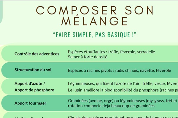 Un guide pour s’y retrouver dans les couverts végétaux du vignoble