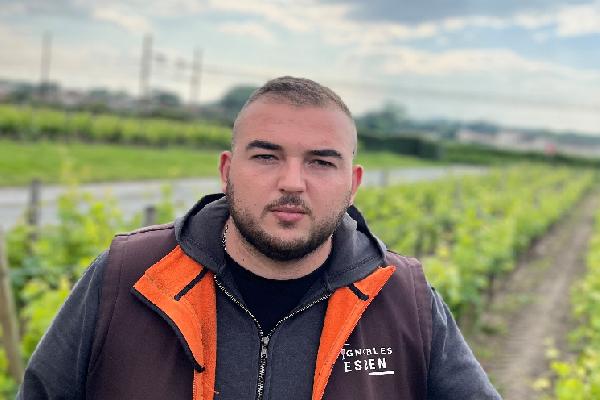 'On va se prendre une gifle énorme', un mildiou plus précoce et plus agressif que jamais à Bordeaux