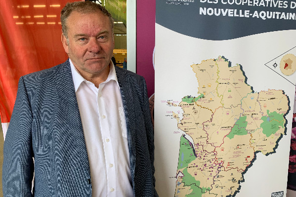 Le vignoble bordelais 'va approcher des 20 000 ha arrachés' en 2024