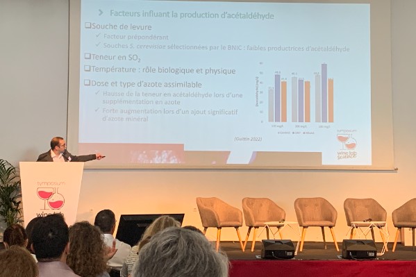 Quatre clés pour accumuler peu d’éthanal pendant la fermentation du vin