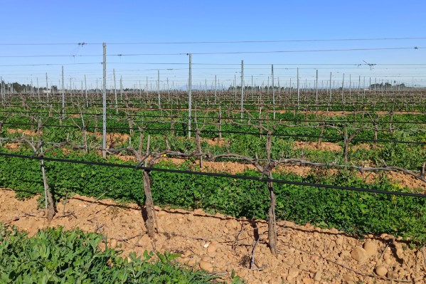 Plusieurs millions € pour irriguer et acheter du matériel économe en phytos