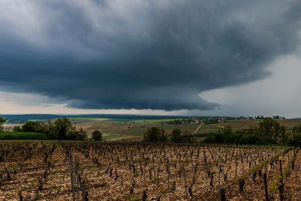 La grêle brise la bonne dynamique commerciale de Chablis