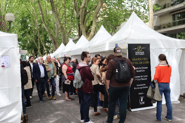 La jeunesse au rendez-vous des vins de Loire