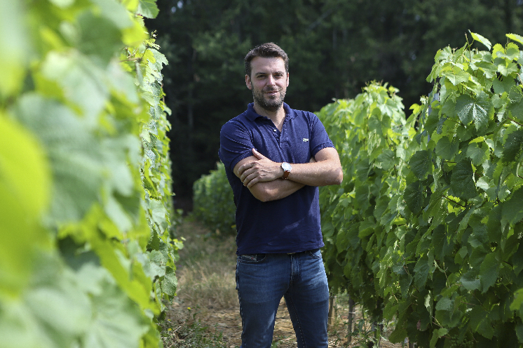 Conseils d'œnologue pour booster les thiols dans les vins