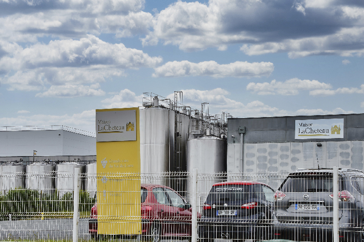 Les vignerons surpris ou sévères face à l'affaire Lacheteau pour 