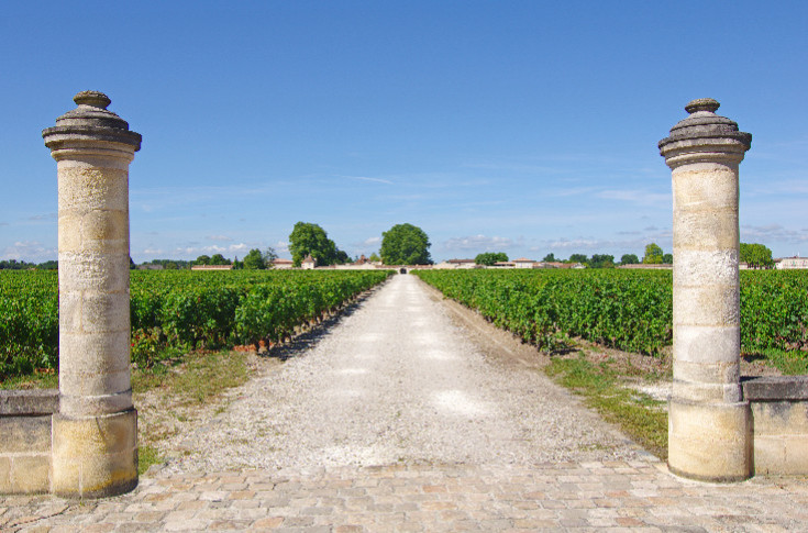-30 % Cheval Blanc, -27 % Lafite… Les grands crus corrigent leurs prix en primeurs, le marché ne se précipite pas, les calcule-t-il ?