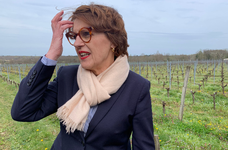 Déploiement du fonds d’urgence aux jeunes viticulteurs dans le Sud