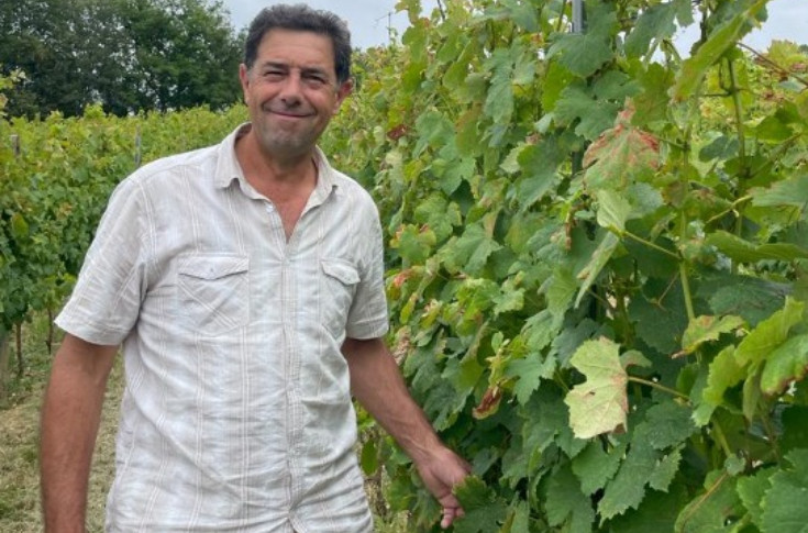 Les caves coopératives voient la douleur de la crise mais pas la couleur des 10 millions € d’aides