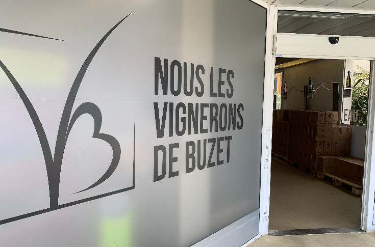 Le plan de relance de la cave de Buzet jugé ce 10 juin avec effacement de créances (-40 %) et alliance avec Grands Chais de France (GCF)