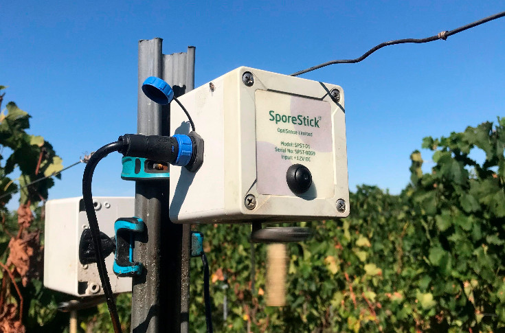 Suivre la sporée aérienne pour lutter contre le mildiou de la vigne : toutes les réponses à vos questions