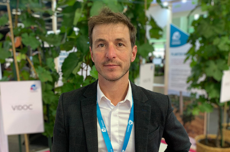 Cave coopérative cherche viticulteurs bordelais pour sortir de la crise, pas sérieux s’abstenir