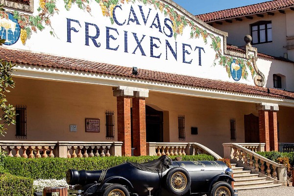 Freixenet taille dans ses effectifs quand le vignoble du Priorat défend son accès à l’eau