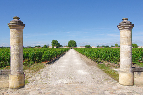 -30 % Cheval Blanc, -27 % Lafite… Les grands crus corrigent leurs prix en primeurs, le marché ne se précipite pas, les calcule-t-il ?