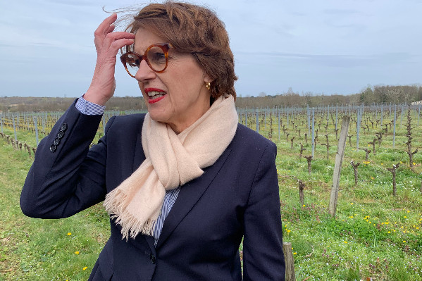 Déploiement du fonds d’urgence aux jeunes viticulteurs dans le Sud