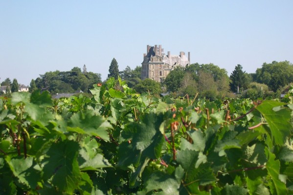 Huit ans pour faire sauter les Villages de l’AOC Anjou Brissac