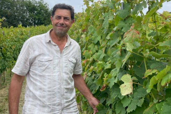 Les caves coopératives voient la douleur de la crise mais pas la couleur des 10 millions € d’aides