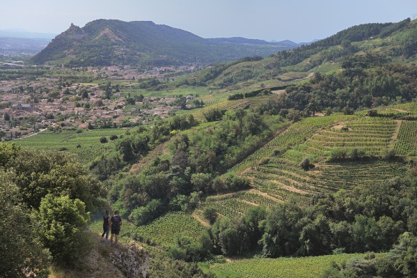 Les vignobles du Rhône septentrional candidats au patrimoine de l’Unesco